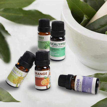 6 PCS Water Soluble Plant Aromatherapy Essential Oil for Diffuser 10ml Bottles