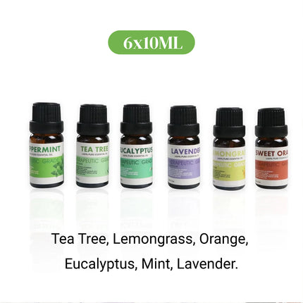 6 PCS Water Soluble Plant Aromatherapy Essential Oil for Diffuser 10ml Bottles