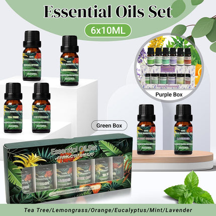 6 PCS Water Soluble Plant Aromatherapy Essential Oil for Diffuser 10ml Bottles