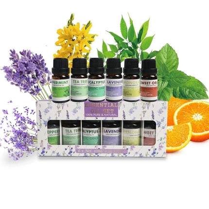 6 PCS Water Soluble Plant Aromatherapy Essential Oil for Diffuser 10ml Bottles