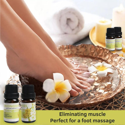 6 PCS Water Soluble Plant Aromatherapy Essential Oil for Diffuser 10ml Bottles