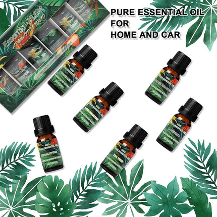 6 PCS Water Soluble Plant Aromatherapy Essential Oil for Diffuser 10ml Bottles