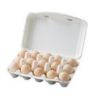 30PCS Pulp Egg Rack Durable Leak-Proof Groove Design for Chicken Eggs Storage
