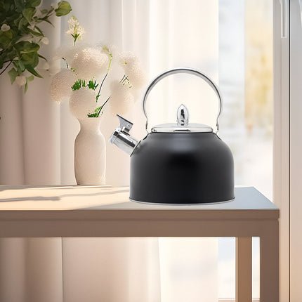Stainless Steel Whistling Kettle with Black Foldable Handle for Home Kitchen