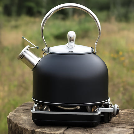 Stainless Steel Whistling Kettle with Black Foldable Handle for Home Kitchen