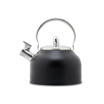 Stainless Steel Whistling Kettle with Black Foldable Handle for Home Kitchen
