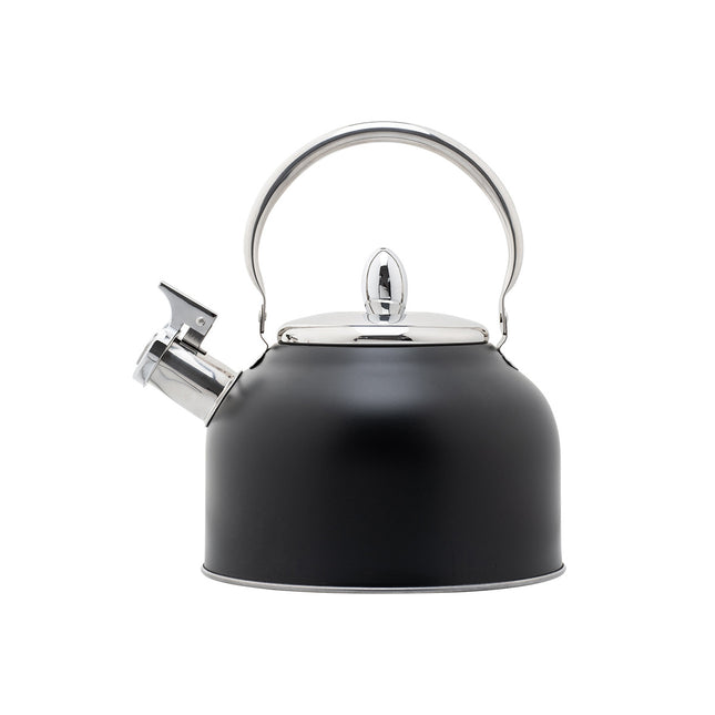 Stainless Steel Whistling Kettle with Black Foldable Handle for Home Kitchen