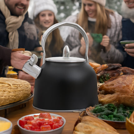 Stainless Steel Whistling Kettle with Black Foldable Handle for Home Kitchen