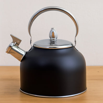 Stainless Steel Whistling Kettle with Black Foldable Handle for Home Kitchen