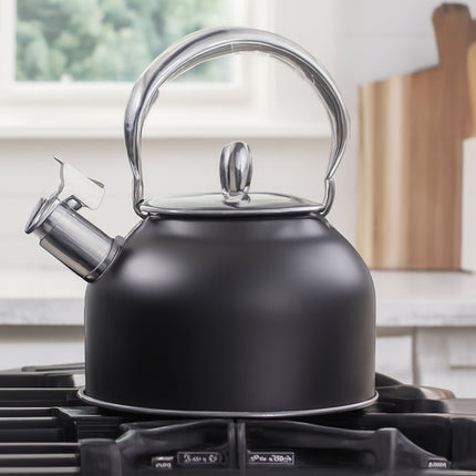 Stainless Steel Whistling Kettle with Black Foldable Handle for Home Kitchen