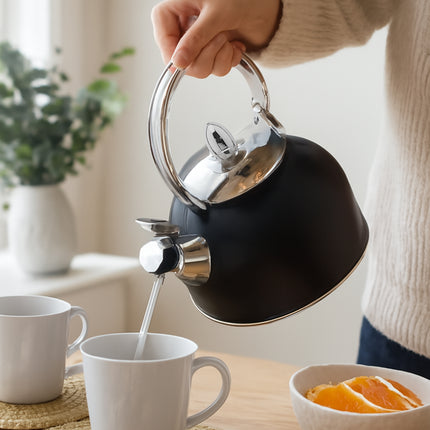 Stainless Steel Whistling Kettle with Black Foldable Handle for Home Kitchen