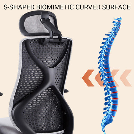 Ergonomic Office Chair S-Shaped Comfort High Elastic Foam Breathable Adjustable