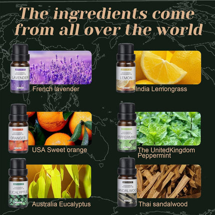 Essential Oil Set 6 Bottles Natural Aromatherapy Oils for Relax and Massage