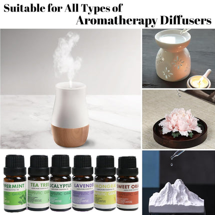 6 PCS Water Soluble Plant Aromatherapy Essential Oil for Diffuser 10ml Bottles