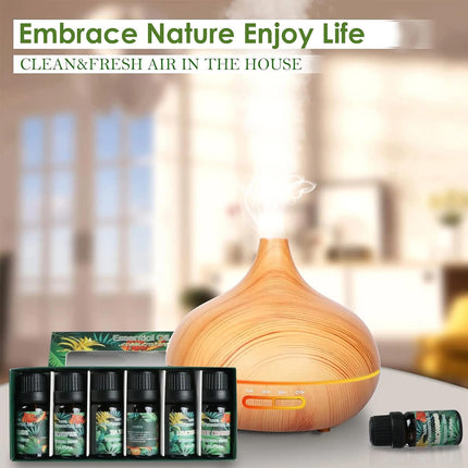 6 PCS Water Soluble Plant Aromatherapy Essential Oil for Diffuser 10ml Bottles