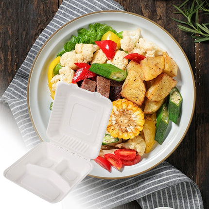 100PCS Disposable Biodegradable Lunch Box for Food Storage Takeaway Meal Safe