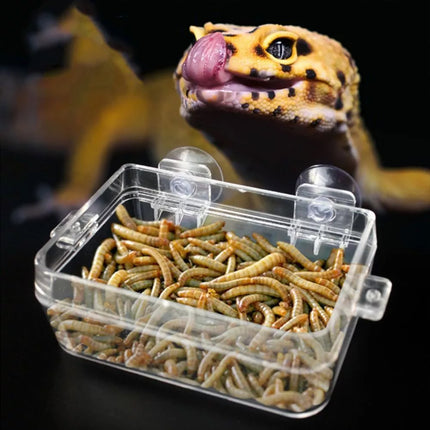 Suction Cup Reptile Feeder Dish Anti-escape Reptile Feeder For Snakes Turtles
