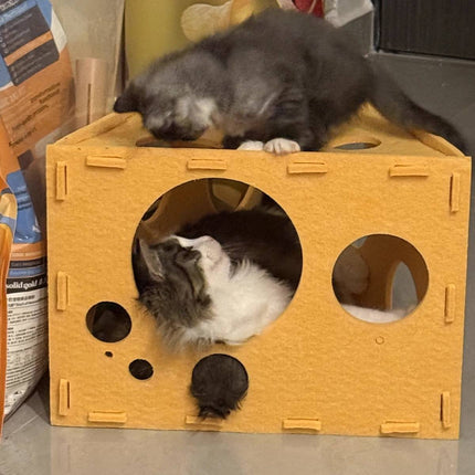 Felt Cheese Wedge Cat Bed Hideaway with Play Holes