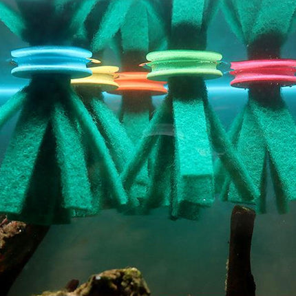 Fish Egg Collector Device Set 10PCS Floating Hanging Breeding Box Aquarium Tank