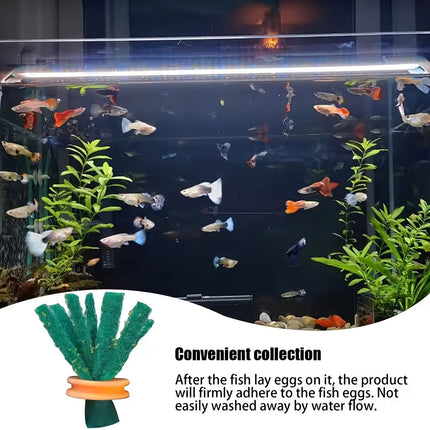Fish Egg Collector Device Set 10PCS Floating Hanging Breeding Box Aquarium Tank