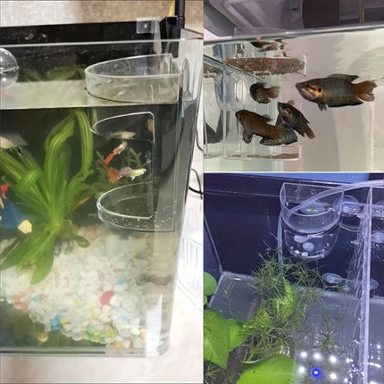 Fish Food Feeding Ring Floating Dispenser Ring Suspension Frame Aquarium Feeder