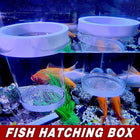 Floating Fish Breeding Hatchery Isolation Box for Fry and Shrimp in Aquarium