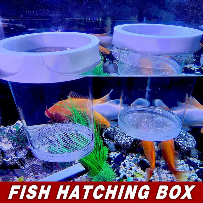 Floating Fish Breeding Hatchery Isolation Box for Fry and Shrimp in Aquarium