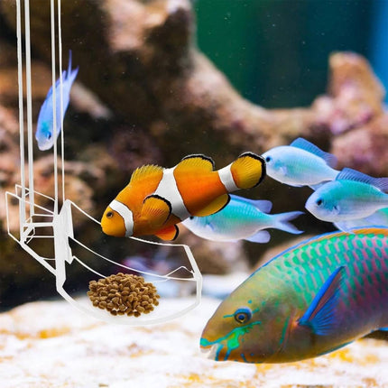 Aquarium Feeding Tube Clear Hang On Food Tray