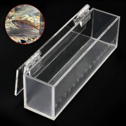 Clear Acrylic Fish Viewing Box with 15cm Ruler Medium