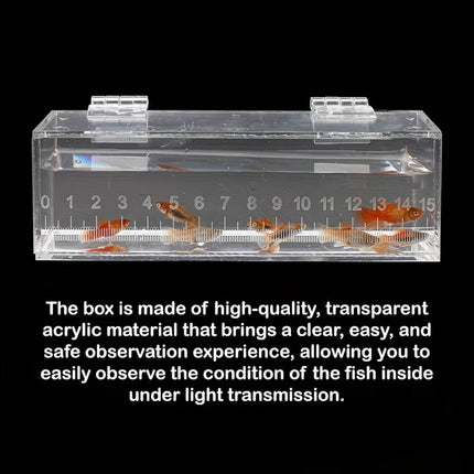Clear Acrylic Fish Viewing Box with 15cm Ruler Medium