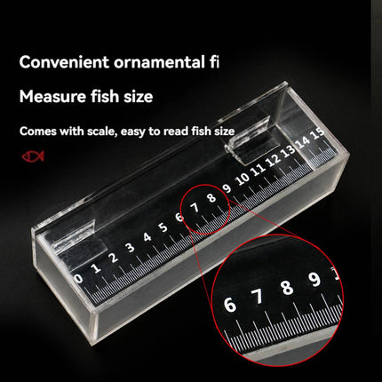 Clear Acrylic Fish Viewing Box with 15cm Ruler Medium