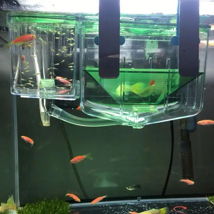Fish Fry Box Juvenile Fish Hatching Breeding Box Aquarium Isolation Tank Use