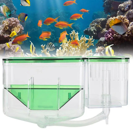 Fish Fry Box Juvenile Fish Hatching Breeding Box Aquarium Isolation Tank Use