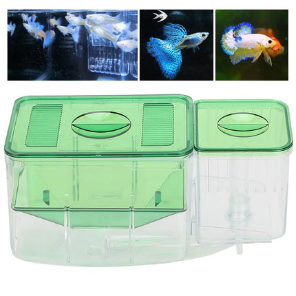 Fish Fry Box Juvenile Fish Hatching Breeding Box Aquarium Isolation Tank Use