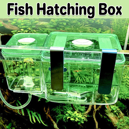Fish Fry Box Juvenile Fish Hatching Breeding Box Aquarium Isolation Tank Use
