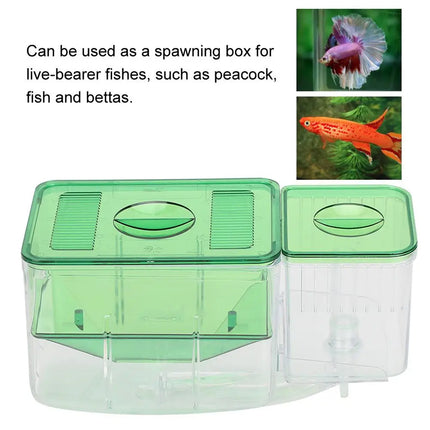 Fish Fry Box Juvenile Fish Hatching Breeding Box Aquarium Isolation Tank Use