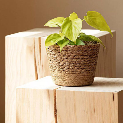 3pcs Natural Woven Basket Planters Garden Flower Pots for Home Living Decor