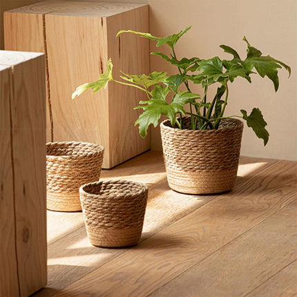 3pcs Natural Woven Basket Planters Garden Flower Pots for Home Living Decor