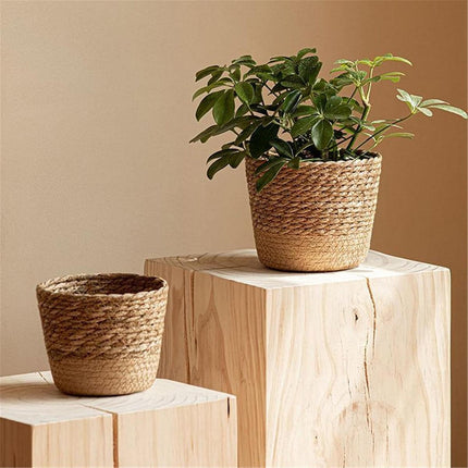 3pcs Natural Woven Basket Planters Garden Flower Pots for Home Living Decor