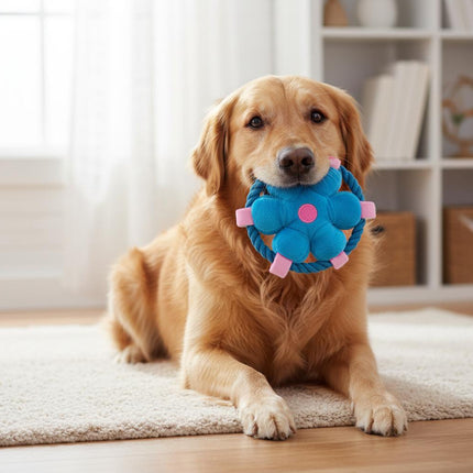 Pet Fluffy Multicolour Flower Shape Flying Disc Throw Toy Dog Interaction Play