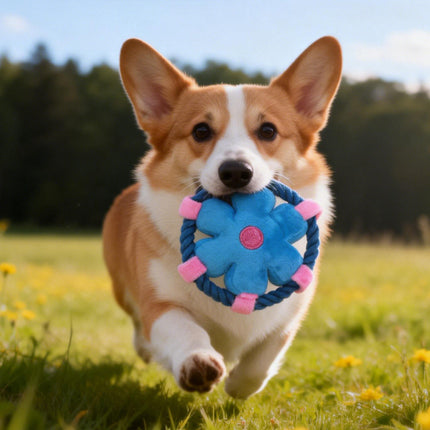 Pet Fluffy Multicolour Flower Shape Flying Disc Throw Toy Dog Interaction Play