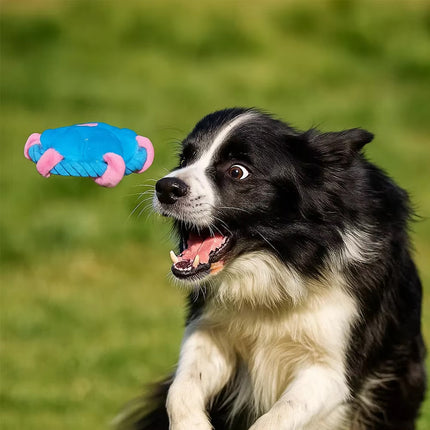 Pet Fluffy Multicolour Flower Shape Flying Disc Throw Toy Dog Interaction Play