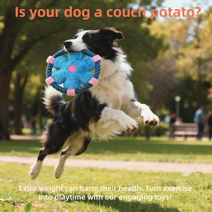 Pet Fluffy Multicolour Flower Shape Flying Disc Throw Toy Dog Interaction Play