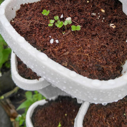 4-Petal 3D Plastic Flower Pot Planter Decorative for Indoor Outdoor Plants Use