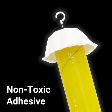 Sticky Fly Trap Stick Insect Catcher Strip Paper Roll for Indoor Outdoor Use