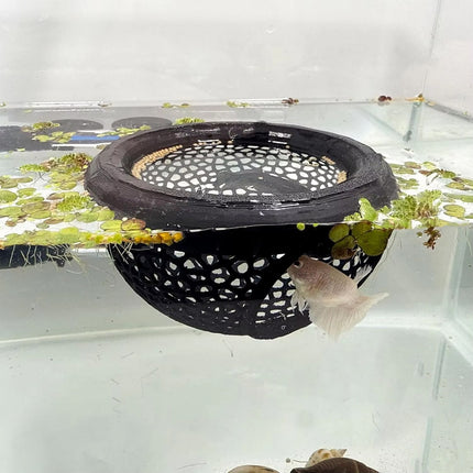 Floating Fish Rest Area Non Toxic Safe for Aquarium Tropical Fish Goldfish