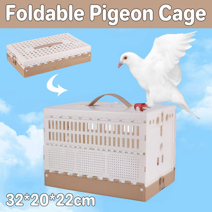 Pigeon Cage Foldable Plastic Homing Pigeon Crate Carrier Training Transport Box