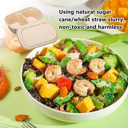 50PCS Disposable Two-Compartment Light Meal Salad Box with Lids Leakproof