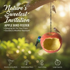 Resin Apple Bird Feeder Hanging Outdoor Garden Wild Bird Feeding Station