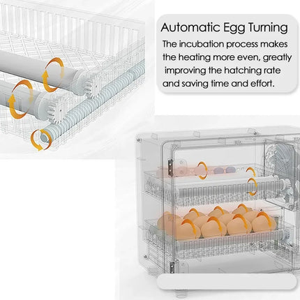 Fully Automatic Chicken Egg Incubator 24 Egg Digital Poultry Hatcher Farm Use